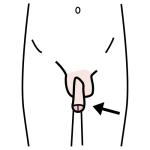 Arasaac 150-4d1b47c5b4341f9a2edd33e3da96242f