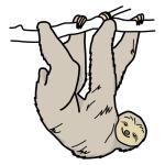 Arasaac 150-4e65be62e8a542486e7c001b021641b4