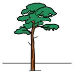 Arasaac 150-506b1c94aa12568cb4157d64201b14db