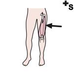 Arasaac 150-519818fed675201990b46a6ffcd557ff