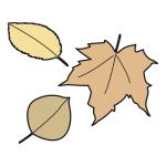 Arasaac 150-519b7bbee45bd34bf219af13acce9d6f