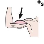 Arasaac 150-51fb51102958129d0a6292ba0d2a82f0