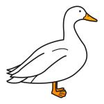 Arasaac 150-53a470c412e43b4bf667ea9ba248a7bf