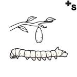 Arasaac 150-5597aff7c084d961abeb03ed47a4e6c