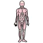 Arasaac 150-59af59807e0708a12eb32a574a191de6