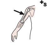 Arasaac 150-5cfc41a8c76a806eb789f71461a7cd41