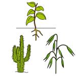 Arasaac 150-5e1ce7dbba0a3c8ab8281f8f51c64401