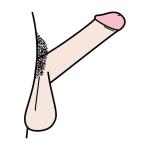 Arasaac 150-622b088e8ca7f447ee36639182b26641