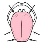 Arasaac 150-66f25101a5a8ddbf65e5ea9854899498