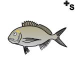 Arasaac 150-6775c0f3316b0afe5f8bcc04e1ee0be0