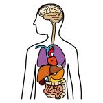 Arasaac 150-6918df52db3a9644f55783ac279895f1