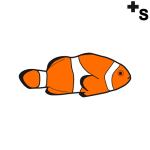 Arasaac 150-6f8beec9d8e0c6e374f52b3186a6e13