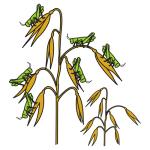 Arasaac 150-79fec4ac2027925e53fffa2de8668bd2