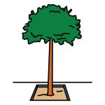 Arasaac 150-7acf810a68e274fe5905351286b506f2