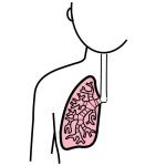 Arasaac 150-7b1b5996996492dee20422ab2cba30a9