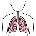 Arasaac 150-7ca32530dab8519e784cecca3eff4e64