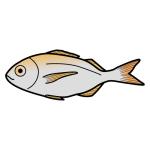 Arasaac 150-81bd1713112b9ea850077fa61688311b