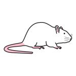 Arasaac 150-841c9b99fd7610baf770e1d4b9a06f1a