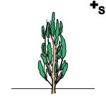 Arasaac 150-8a56955d8ea00b20f0d9f432b7eea22c