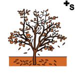 Arasaac 150-8aa3b89a87b3160e8d140026a552d6c1