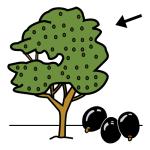 Arasaac 150-8cb793869ed3df26454c9a4a8e3495e0