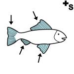 Arasaac 150-8d0fe7a0df7aed90af92bc3cde4a06bb