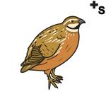 Arasaac 150-900c9c7ba60b7a3c78936758d9300af1