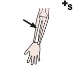 Arasaac 150-9038f38ce16e24828132b64ca6f6c0