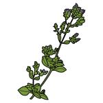 Arasaac 150-9227b97f06322c6d55ac30c1f0d0b92f