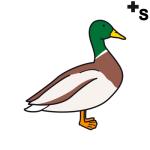 Arasaac 150-953c48d2eaf6fa3567cc0e1675c084c9