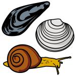 Arasaac 150-99ce054f3c12edc71eadc648aa440e9c