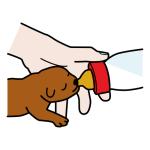 Arasaac 150-99d37cadcde1b65e55bbab13ba214719