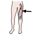 Arasaac 150-9cc4fda6d6879acdb168b2e99da4318d