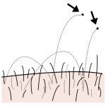 Arasaac 150-9d8ba16cb88bf068a864bf38bb1e4c85