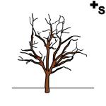 Arasaac 150-9d9bfd010fbf5810d30af01d7f8855b9