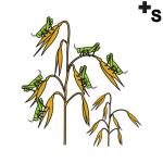 Arasaac 150-aa92339f49693449bf85ecfec174230d