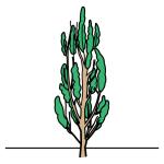 Arasaac 150-afa75893c07b40502e8a07cc3025918c