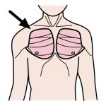 Arasaac 150-b125fea56dc75a66b5933ecbb8ff5a4d