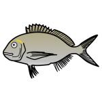 Arasaac 150-b1da42e72700734b9402753f4b988036