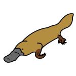 Arasaac 150-b6a54ddb34f746cd35bc4fffff00807