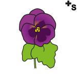 Arasaac 150-b6b63eac90b1e4c96209ff4b7b66e974