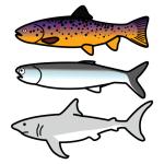 Arasaac 150-b6e7130e6dd1484d07bcc63f26ab7d36