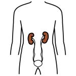 Arasaac 150-b7c56ad62b54dfa3b1970d7be660f853