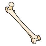 Arasaac 150-ba84639ee2ef0817a9b13f8d1fdb2653