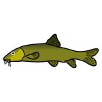 Arasaac 150-bea0d8372ddd77e0eb1bfb9a59a710a Arasaac 150-bea0d8372ddd77e0eb1bfb9a59a710a