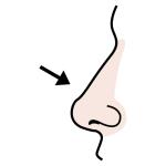 Arasaac 150-bf39089ecd360a00509120c1a0a51e05