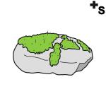 Arasaac 150-bf61335c4ed5d917eb7e5622964ec4b3