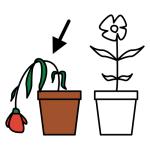 Arasaac 150-c74d18fcd6900001397cbc75781e5d9a