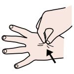 Arasaac 150-cc4ad1dc50751b2d0fb0953d16926fca