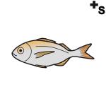 Arasaac 150-cc9c45c0fa3e853c3a292f8b88073dd4